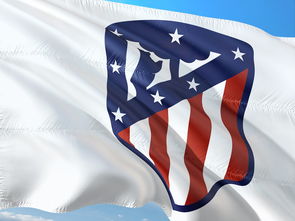 开云体育入口-巴黎圣日耳曼力克AC米兰，哈兰德补时绝平欧冠