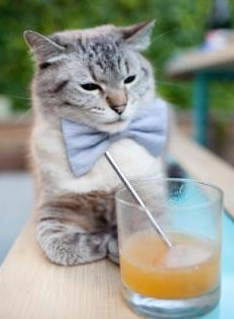 法比尼奥一锤定音，哥伦比亚读秒绝杀！巨星价值在逆境中闪耀